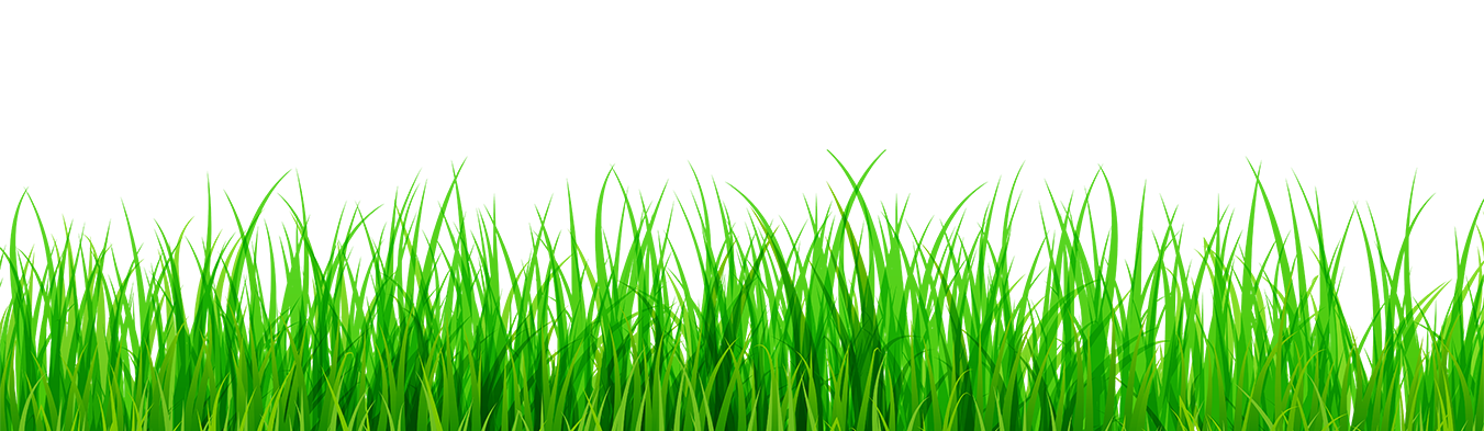 MVA Organic MVA Organic