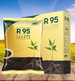 Plant Growth Promoter